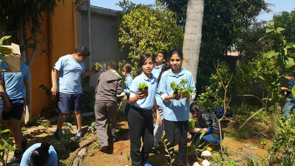 بالصور: فعاليات يوم الأعمال الحسنة بمدرسة حسن عرفة الابتدائية بيافا 